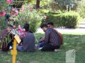 گزارش تصویری آزمون کارشناسی 1402
